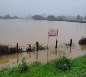 Parcela inundada ofrecida para la venta